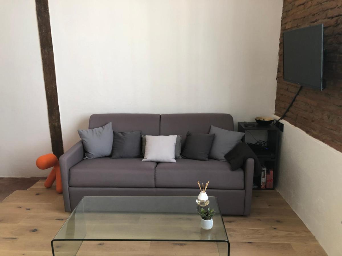 Charmant Studio De 20M2 En Hypercentre De Тулуза Экстерьер фото