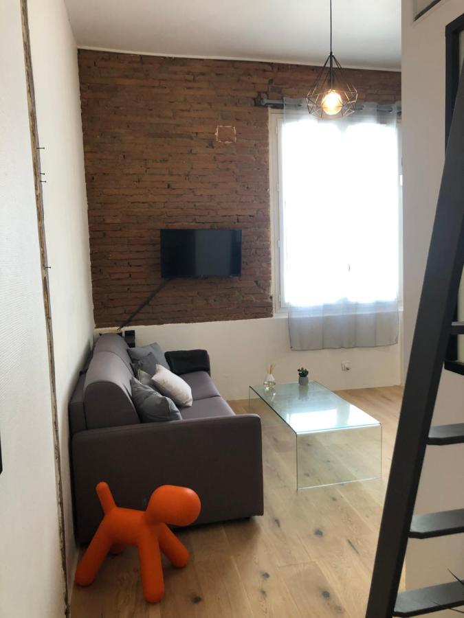 Charmant Studio De 20M2 En Hypercentre De Тулуза Экстерьер фото